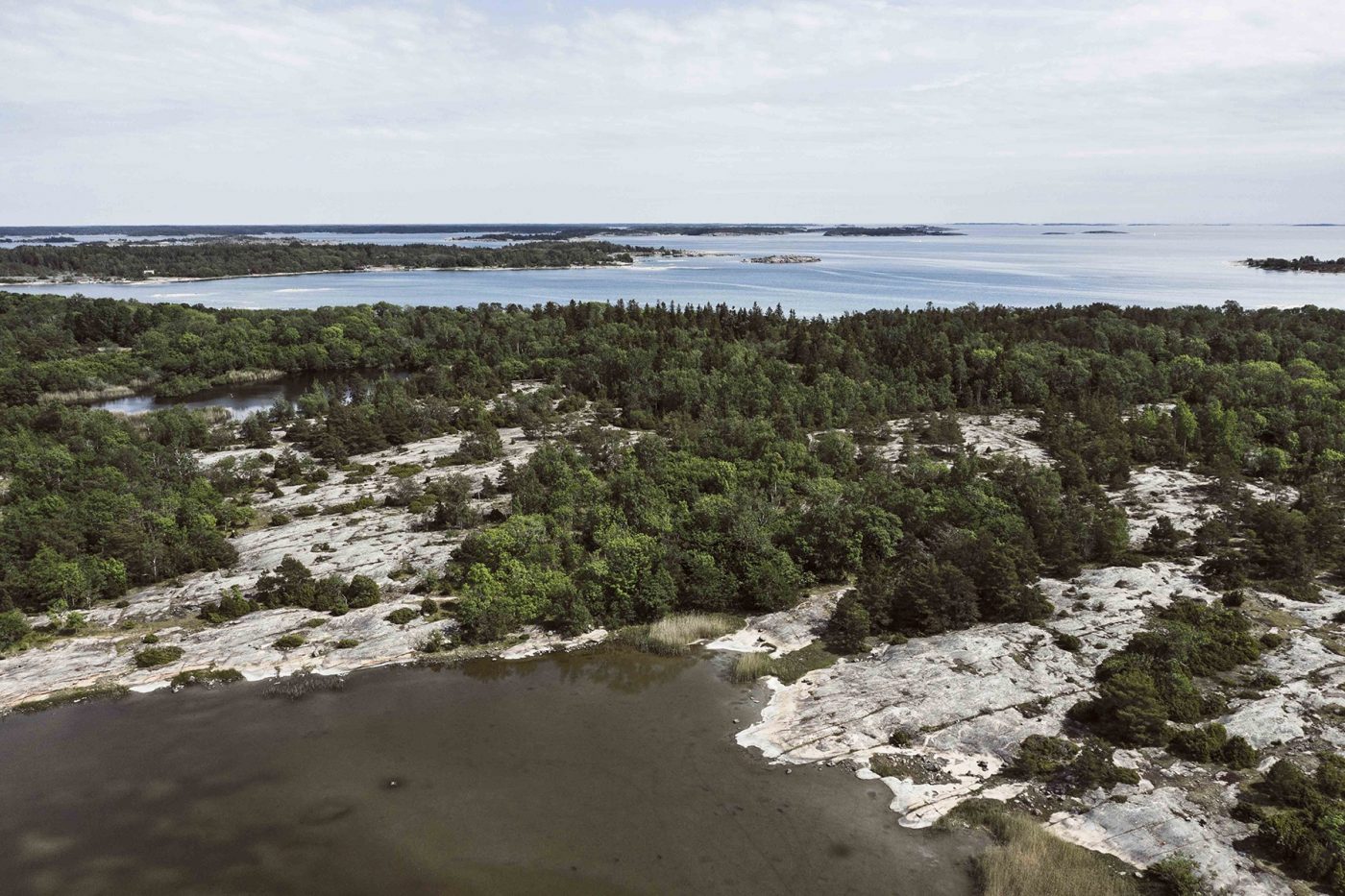 Skargard hav skog berg